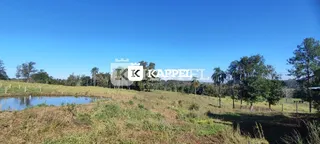 Vista de uma área de campo com vegetação e corpo d'água.