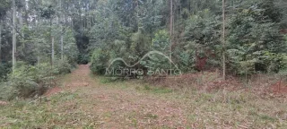 Área rural, foto 3