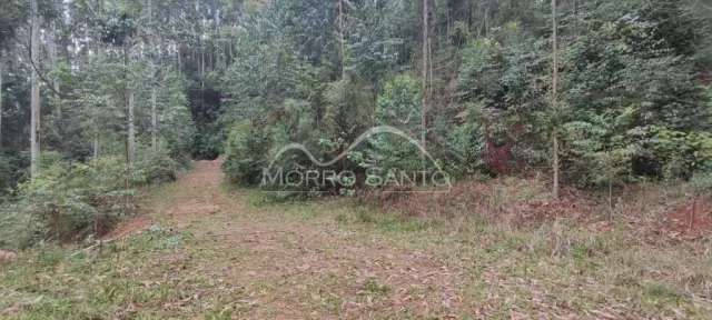 Área rural, foto 3