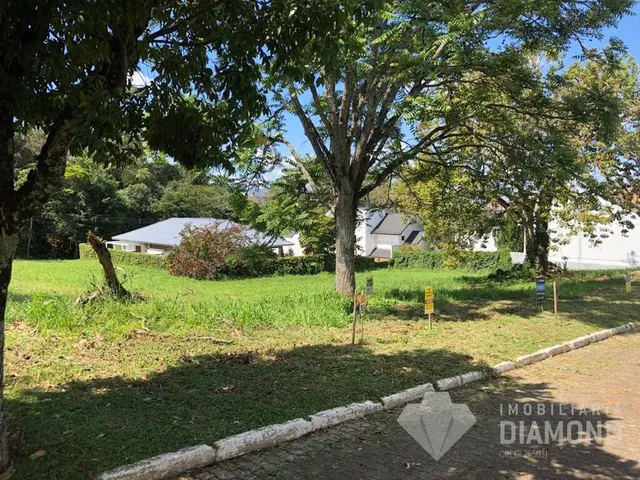 Terreno, foto 3