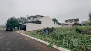 Terreno, foto 2