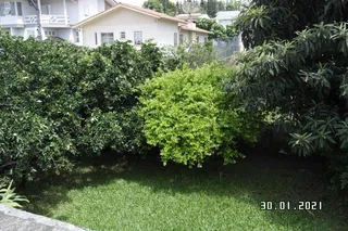 Casa com 3 dormitórios, foto 7