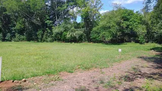 Terreno, foto 1