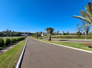 Vista da rua com gramado e vegetação ao ar livre.