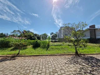 Terreno, foto 6