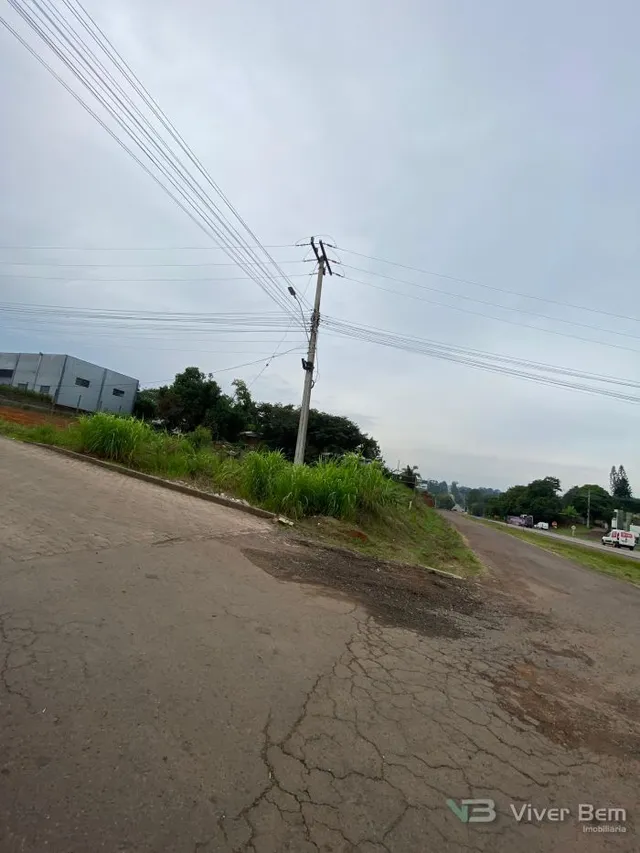 Terreno, foto 3