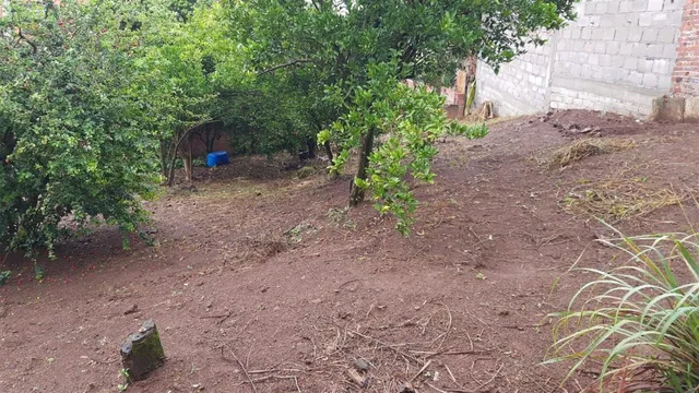 Casa com 3 dormitórios, foto 5