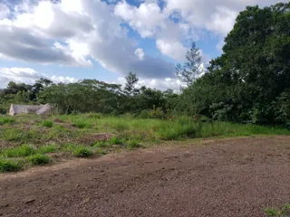 Paisagem externa com vegetação e árvores sob um céu nublado.
