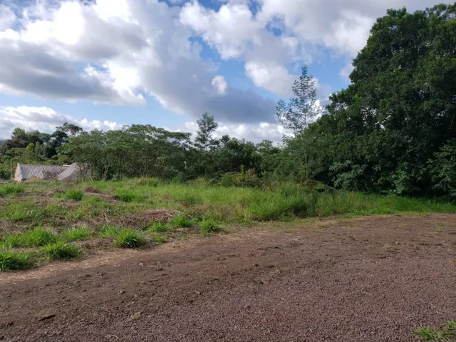 Paisagem externa com vegetação e árvores sob um céu nublado.