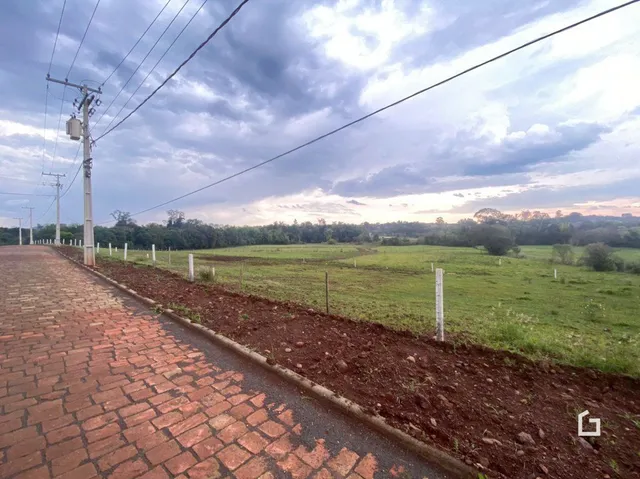 Vista de um campo aberto com caminho de terra e vegetação no Brasil.