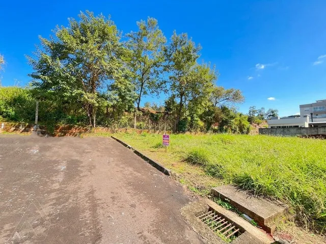Terreno, foto 3