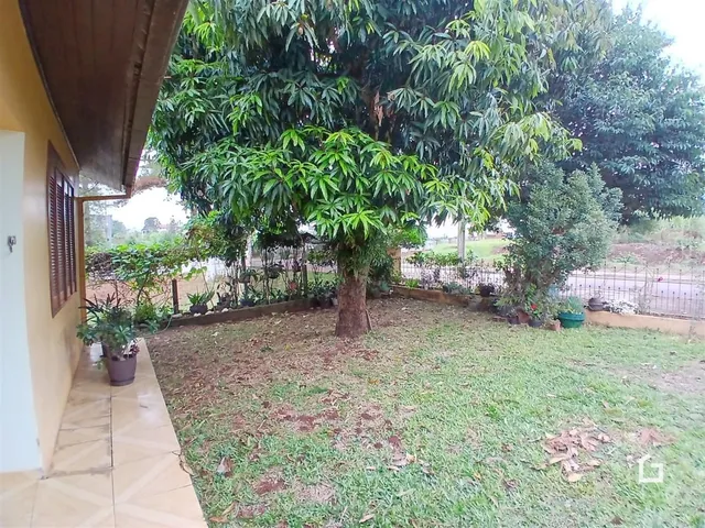 Jardim com árvores grandes e gramado na propriedade.