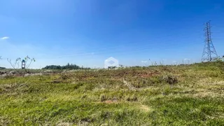 Terreno, foto 4