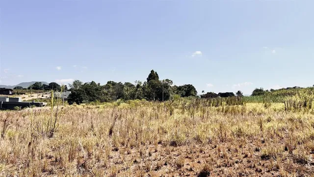 Terreno, foto 5