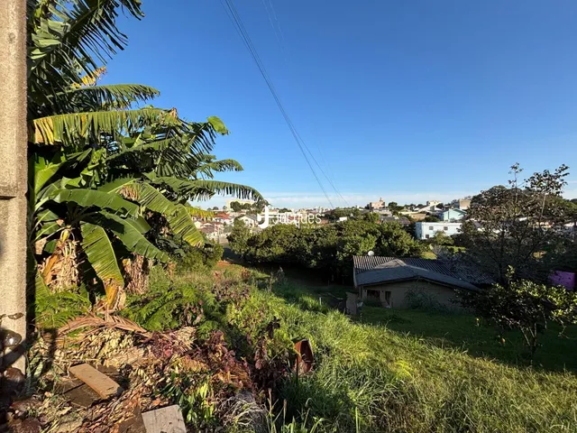 Terreno, foto 4