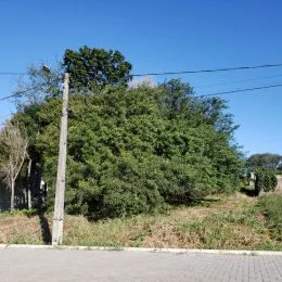 Terreno, foto 4