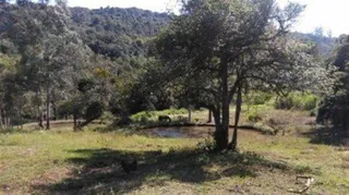 Casa com 4 dormitórios, foto 8