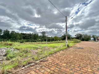 Terreno, foto 3