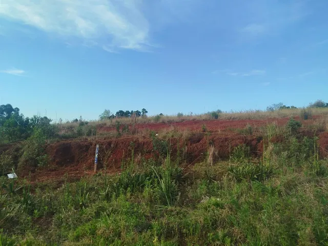 Terreno