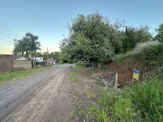 Vista de uma estrada de terra rural com vegetação densa ao fundo.