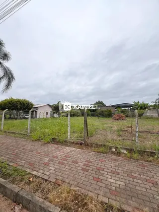 Vista externa de um terreno com vegetação e um caminho de tijolos.
