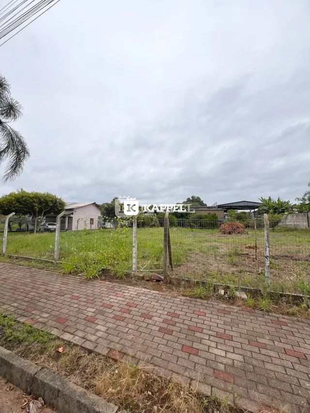 Vista externa de um terreno com vegetação e um caminho de tijolos.
