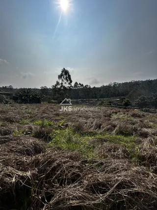 Terreno, foto 4