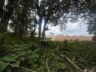 Terreno, foto 3