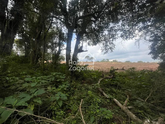 Terreno, foto 3