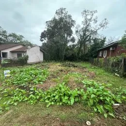 Terreno, foto 2
