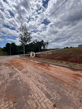 A foto mostra a entrada de uma propriedade com uma estrada de terra.