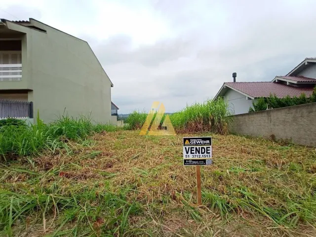 Terreno, foto 4