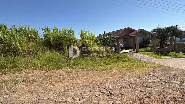 Vista externa de uma propriedade com vegetação densa no primeiro plano.
