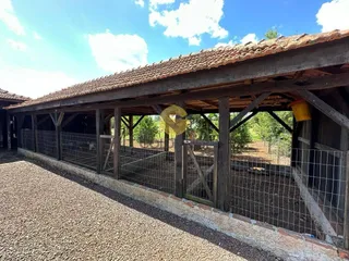 Área rural com 3 dormitórios, foto 6
