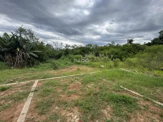 Vista de um terreno com vegetação densa sob um céu nublado.