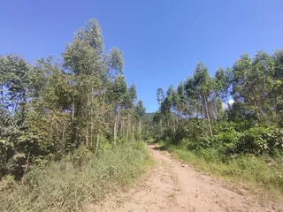 Área rural, foto 3