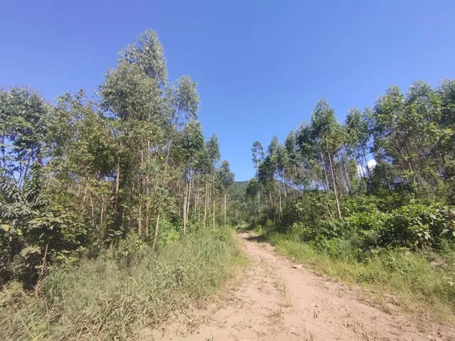 Área rural, foto 3