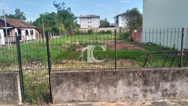 Terreno, foto 3