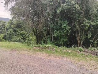 Terreno, foto 4