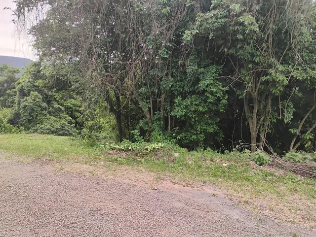 Terreno, foto 4