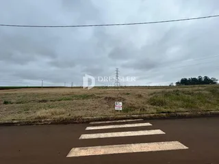 Vista de uma área de campo aberto com vegetação e linha de energia.