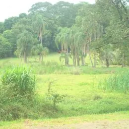 Terreno, foto 6