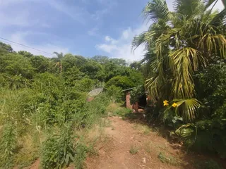 Área rural, foto 11