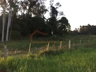 Área rural, foto 5
