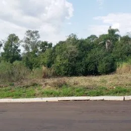 Vista da vegetação ao ar livre da propriedade.
