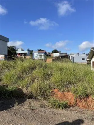 Terreno, foto 1