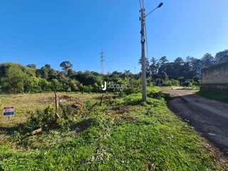 Paisagem de terreno com vegetação e estrada de terra.