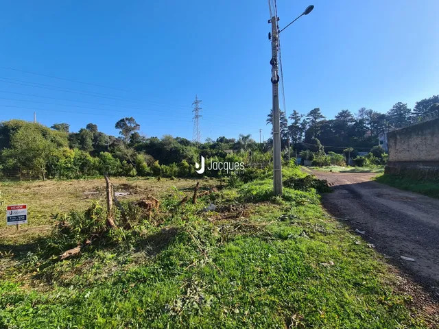 Paisagem de terreno com vegetação e estrada de terra.