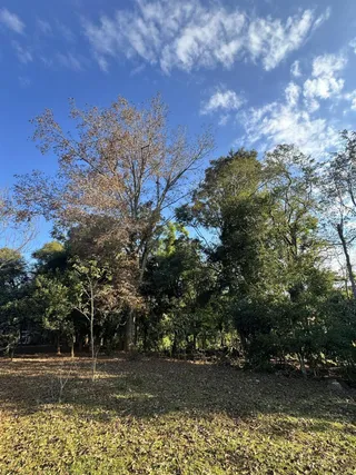 Área rural, foto 5