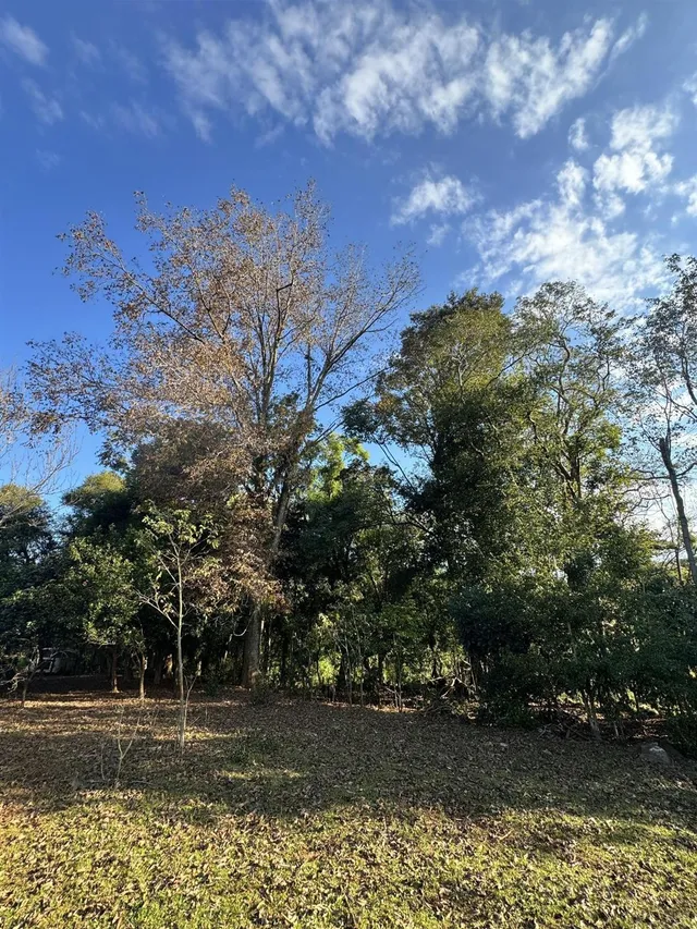 Área rural, foto 5